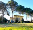 Casa, EMPOLI, 650.000 €, 690,00 mq