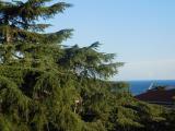 Appartamento, SAVONA, 249.000 €, 70,00 mq