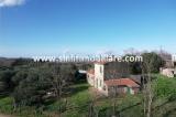 Casa, CAPALBIO, 650.000 €, 140,00 mq