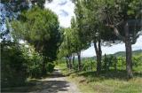 Appartamento, GROPPARELLO, 130.000 €, 100,00 mq