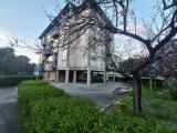 Appartamento, GROSSETO, 248.000 €, 110,00 mq