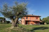 Casa, RAVENNA, San Pietro in Trento, 790.000 €, 400,00 mq