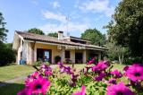 Casa, MONTEBELLUNA, 700.000 €, 350,00 mq
