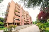 Appartamento, SEGRATE, 321.000 €, 95,00 mq