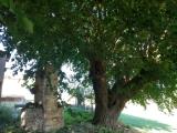 Casa, JESI, 200.000 €, 600,00 mq