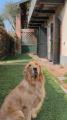 Appartamento, PESCHIERA BORROMEO, 330.000 €, 105,00 mq