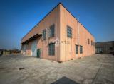 Superfici commerciali, CASTELLEONE, 425.000 €, 950,00 mq