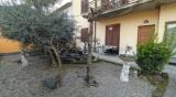Appartamento, CILAVEGNA, 75.000 €, 65,00 mq