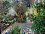 Casa, COGOLETO, 370.000 €, 110,00 mq