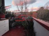 Appartamento, PIEVE A NIEVOLE, 95.000 €, 55,00 mq