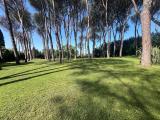 Appartamento, ROMA, Tomba di Nerone, 220.000 €, 55,00 mq