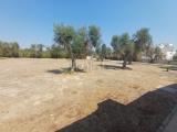 Casa, MANDURIA, 170.000 €, 150,00 mq