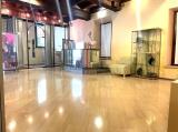 Appartamento, MANTOVA, 379.000 €, 212,00 mq