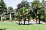 Casa, ARSAGO SEPRIO, 980.000 €, 600,00 mq