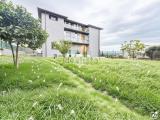 Appartamento, ANGUILLARA SABAZIA, 199.000 €, 131,00 mq