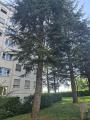 Appartamento, PARMA, 169.000 €, 90,00 mq