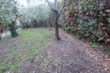 Casa, LUCCA, 370.000 €, 280,00 mq