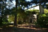 Casa, ARCIDOSSO, 150.000 €, 318,00 mq