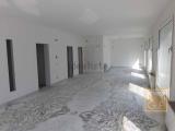 Superfici commerciali, SAN GIORGIO DI NOGARO, 195.000 €, 407,00 mq