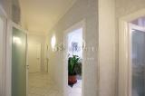Appartamento, GROSSETO, 240.000 €, 150,00 mq