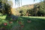 Casa, VAGLIA, 195.000 €, 80,00 mq