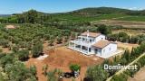 Casa, CAPALBIO, 2.800.000 €, 313,00 mq