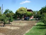 Casa, GROSSETO, 390.000 €, 370,00 mq