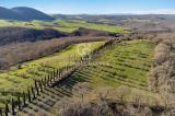Casa, MONTALCINO, 2.100.000 €, 420,00 mq