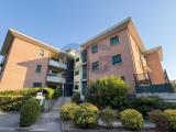 Appartamento, ZOLA PREDOSA, 280.000 €, 80,00 mq