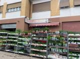 Superfici commerciali, POGGIO MIRTETO, 80.000 €, 45,00 mq