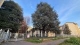 Appartamento, MILANO, 198.000 €, 60,00 mq