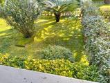 Appartamento, MASSA, 320.000 €, 80,00 mq