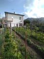Casa, ORTONOVO, Luni, 168.000 €, 90,00 mq