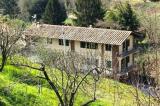 Casa, PISA, 1.350.000 €, 800,00 mq