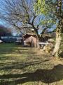 Appartamento, SAN GIOVANNI VALDARNO, 125.000 €, 60,00 mq