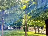Appartamento, MANTOVA, 148.000 €, 92,00 mq