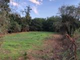 Casa, FUCECCHIO, 125.000 €, 200,00 mq