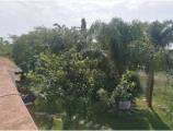Casa, SCANZANO JONICO, 500.000 €, 300,00 mq