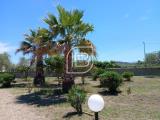 Casa, ALGHERO, 490.000 €, 200,00 mq