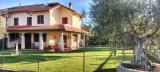 Casa, GROSSETO, 550.000 €, 200,00 mq
