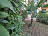 Appartamento, CASTELFRANCO VENETO, 120.000 €, 55,00 mq
