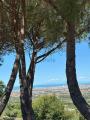 Appartamento, LIVORNO, 155.000 €, 45,00 mq