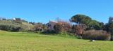 Appartamento, MAGLIANO IN TOSCANA, 200.000 €, 73,00 mq