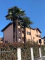 Appartamento, CESATE, 135.000 €, 58,00 mq