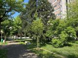 Appartamento, BOLOGNA, 370.000 €, 115,00 mq