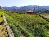 Casa, MOCONESI, 165.000 €, 190,00 mq