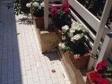 Appartamento, FIUMICINO, 300.000 €, 70,00 mq