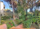 Appartamento, PISA, Marina di Pisa, 219.000 €, 96,00 mq
