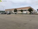 Superfici commerciali, CASALGRANDE, 2.100.000 €, 2890,00 mq