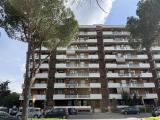 Appartamento, ROMA, Colli Aniene, 229.000 €, 54,00 mq